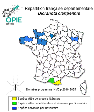 Carte de distribution de Dicranota claripennis (Verrall, 1888)