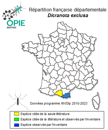 Carte de distribution de Dicranota exclusa (Walker,1848)