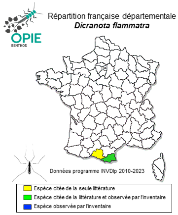 Carte de distribution de Dicranota flammatra Starý, 1981