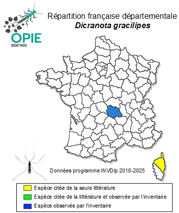 Carte de distribution de Dicranota gracilipes Wahlgren, 1905