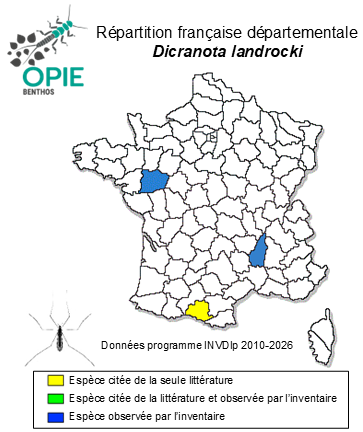 Carte de distribution de Dicranota landrocki Cziek, 1931