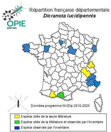 Carte de distribution de Dicranota lucidipennis (Edwards, 1921)