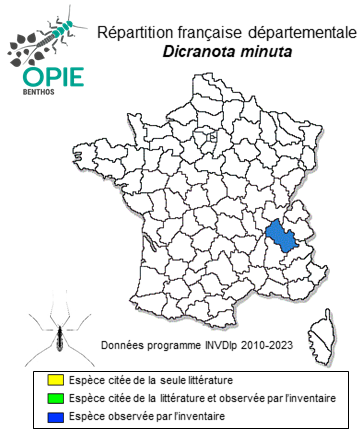 Carte de distribution de Dicranota minuta Lackschewitz, 1940