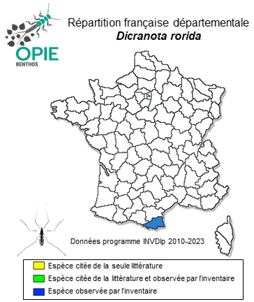 Carte de distribution de Dicranota rorida Lackschewitz, 1940