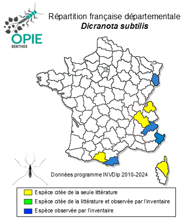 Carte de distribution de Dicranota subtilis Loew, 1871