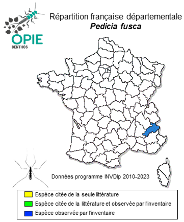 Carte de distribution de Pedicia fusca Ujvarosi & Balint, 2012