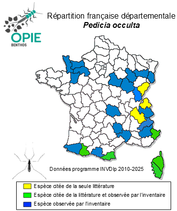 Carte de distribution de Pedicia occulta (Meigen, 1830)