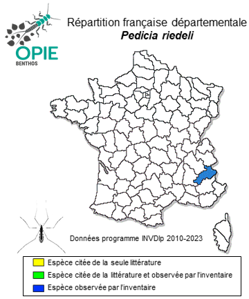 Carte de distribution de Pedicia riedeli (Lackschewitz, 1940)