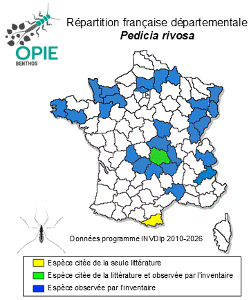 Carte de distribution de Pedicia rivosa (Linnaeus, 1758)