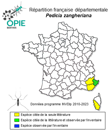 Carte de distribution de Pedicia zangheriana Nielsen, 1950