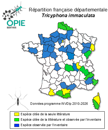 Carte de distribution de Tricyphona immaculata (Meigen, 1804)