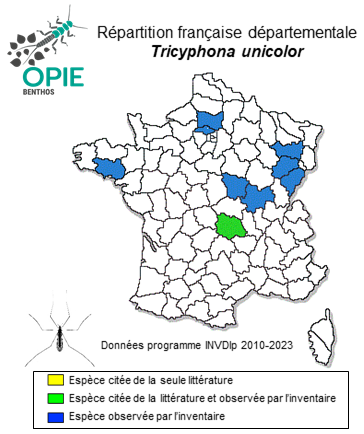 Carte de distribution de Tricyphona unicolor (Schummel, 1829)