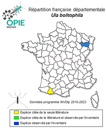 Carte de distribution de Ula bolitophila Loew, 1869
