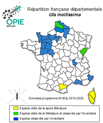 Carte de distribution de Ula mollissima Haliday, 1833