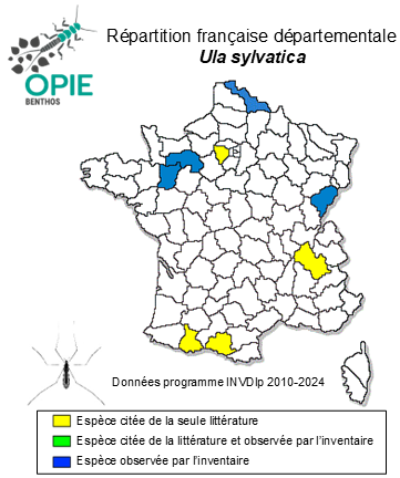 Carte de distribution de Ula sylvatica (Meigen, 1818)