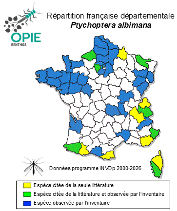 Carte de distribution de Ptychoptera albimana (Fabricius,1787)