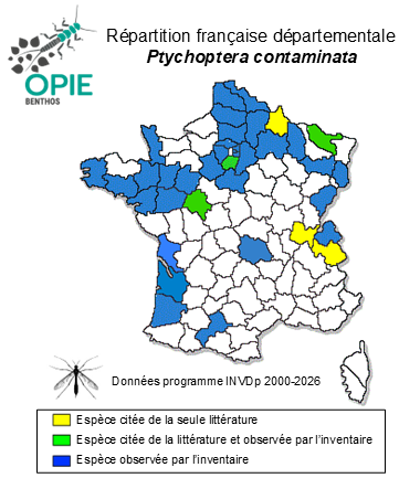 Carte de distribution de Ptychoptera contaminata (Linnaeus, 1758)