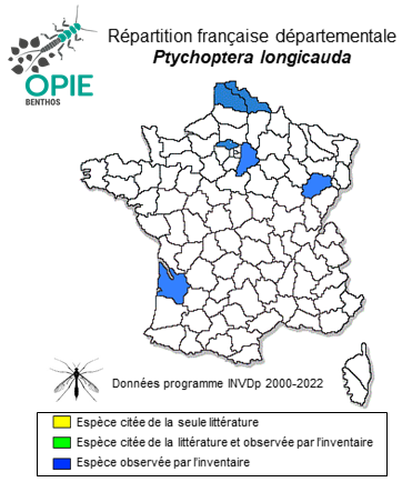 Carte de distribution de Ptychoptera longicauda (Tonnoir, 1919)