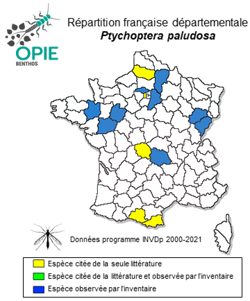 Carte de distribution de Ptychoptera paludosa Meigen, 1804