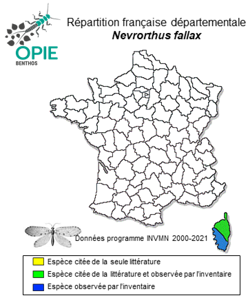 Carte de distribution de Nevrorthus fallax (Rambur, 1842)