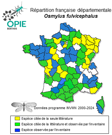 Carte de distribution de Osmylus fulvicephalus (Scopoli, 1763)