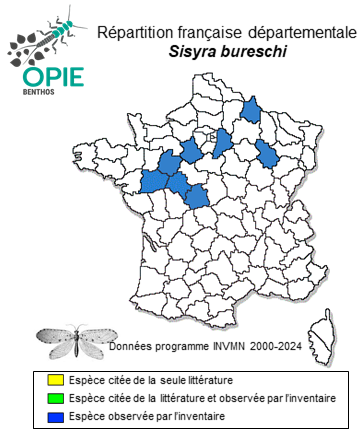 Carte de distribution de Sisyra bureschi Rausch & Weißmair, 2007