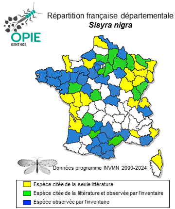 Carte de distribution de Sisyra nigra (Retzius, 1783)