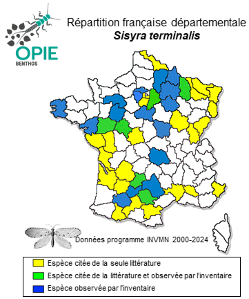Carte de distribution de Sisyra terminalis Curtis, 1854