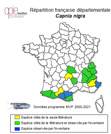 Carte de distribution de Capnia nigra (Pictet, 1833)