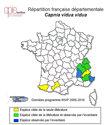 Carte de distribution de Capnia vidua vidua Klapálek, 1904