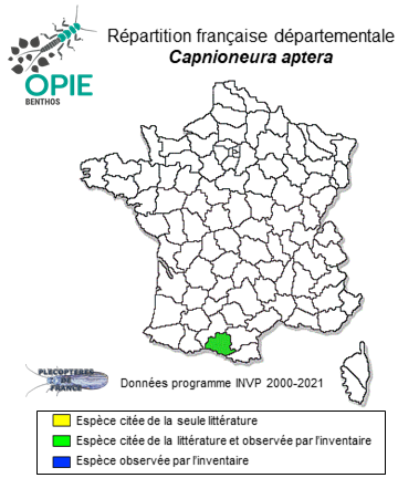 Carte de distribution de Capnioneura aptera Berthélemy, 1969 *