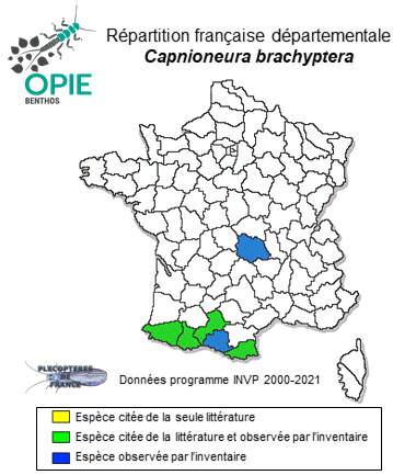 Carte de distribution de Capnioneura brachyptera Despax, 1932
