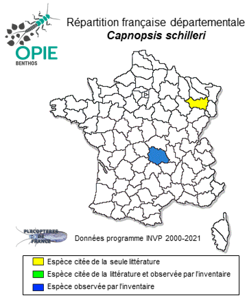Carte de distribution de Capnopsis schilleri (Rostock, 1892)