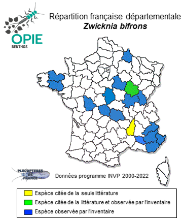 Carte de distribution de Zwicknia bifrons (Newman, 1839)