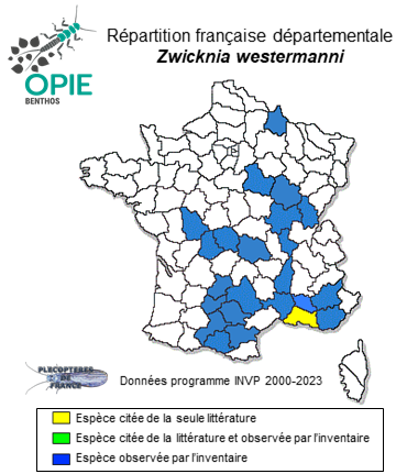 Carte de distribution de Zwicknia westermanni Boumans & Murányi, 2014