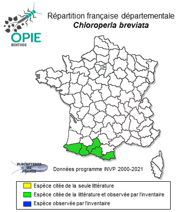 Carte de distribution de Chloroperla breviata Navás, 1918