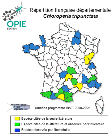 Carte de distribution de Chloroperla tripunctata (Scopoli, 1763)