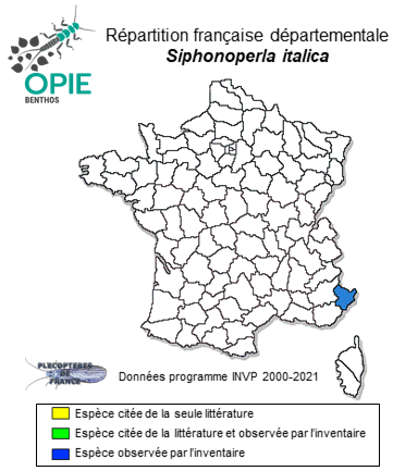 Carte de distribution de Siphonoperla italica (Aubert, 1953)