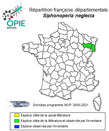 Carte de distribution de Siphonoperla neglecta (Rostock, 1881)