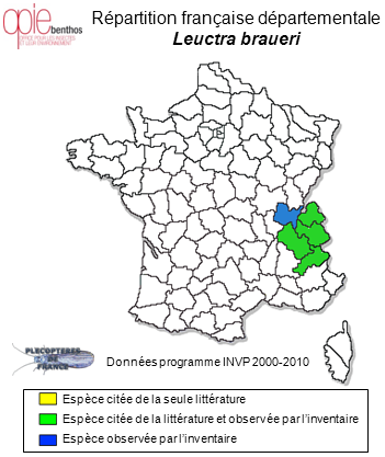 Carte de distribution de Leuctra braueri Kempny, 1898