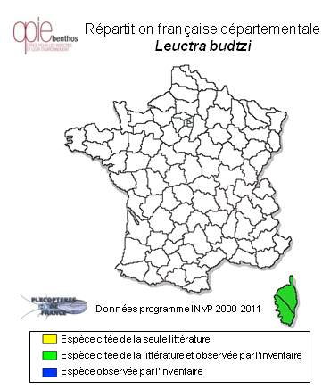 Carte de distribution de Leuctra budtzi Esben-Petersen, 1912 *