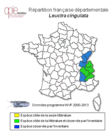 Carte de distribution de Leuctra cingulata Kempny, 1899