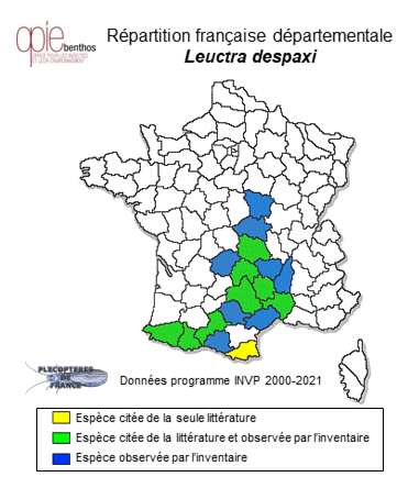 Carte de distribution de Leuctra despaxi Mosely, 1930