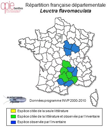 Carte de distribution de Leuctra flavomaculata Mosely, 1935 *