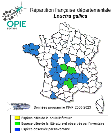 Carte de distribution de Leuctra gallica Aubert, 1953