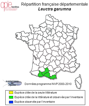 Carte de distribution de Leuctra garumna Vinçon & Ravizza, 1996 *