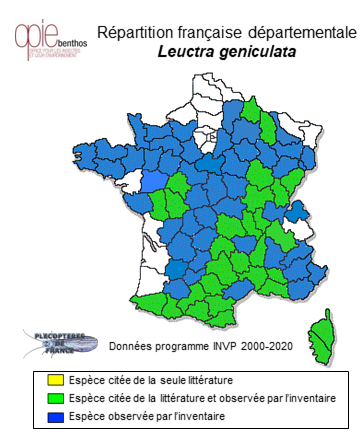 Carte de distribution de Leuctra geniculata Stephens, 1836