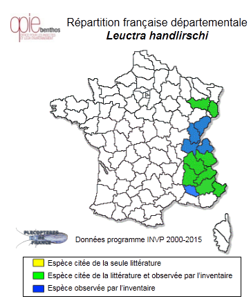 Carte de distribution de Leuctra handlirschi Kempny, 1898