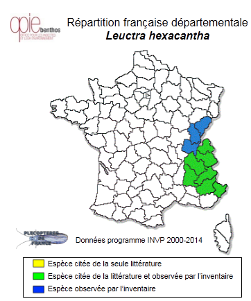 Carte de distribution de Leuctra hexacantha Despax, 1940