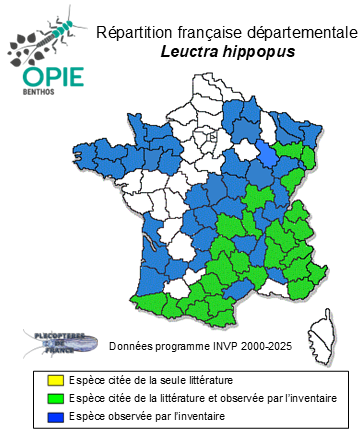 Carte de distribution de Leuctra hippopus Kempny, 1899